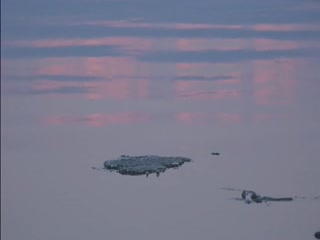 相约中国极品长腿翘臀超模特伊丽莎白大尺度魅惑私拍之白色床单上的美女完美酮体三点全开版