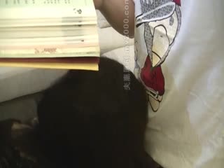 剧情乱伦-儿子半夜还在用功读书妈妈钻到桌子底下奖励儿子