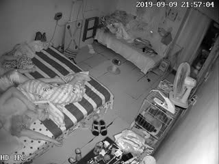 九月新破解家庭网络摄像头奇芭的小两口和几个小狗共住一个房间这的味道肯定很重