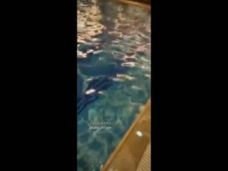 撩妹游泳馆勇敢搭讪独自一人游玩的害羞气质小美女约到酒店啪啪啪身材sex淫水又多对白精彩完整